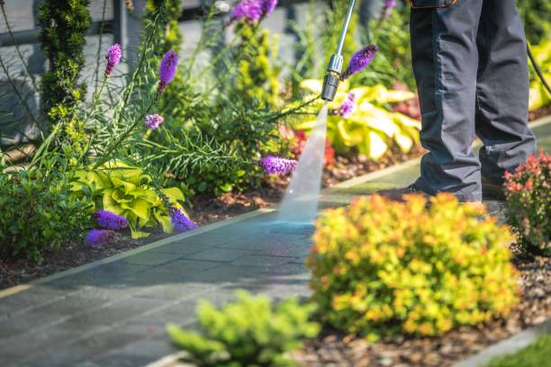Reliable Linden, TX Pressure Washing Services Solutions