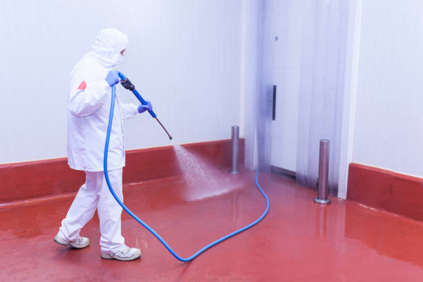  Linden, TX Pressure Washing Pros